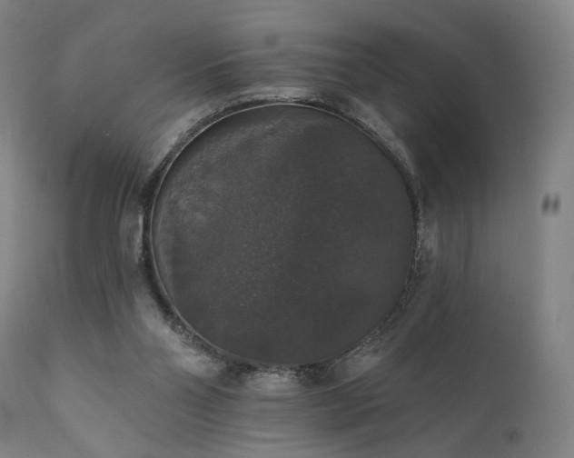 X0000111800110200907231219