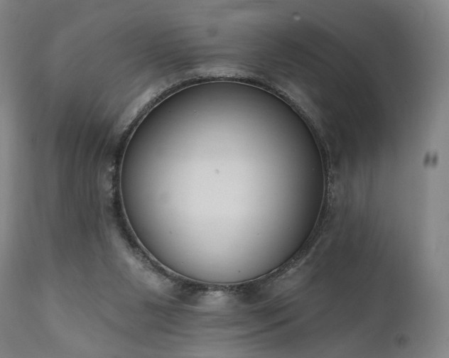 X0000111800111200907231219