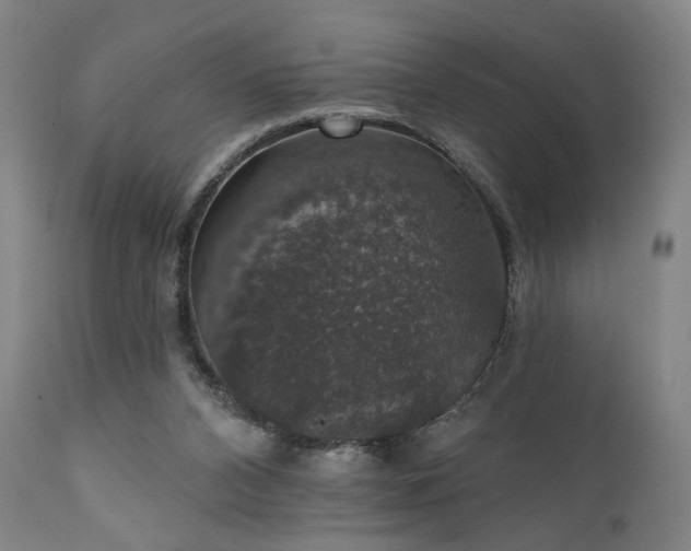 X0000111800112200907231219