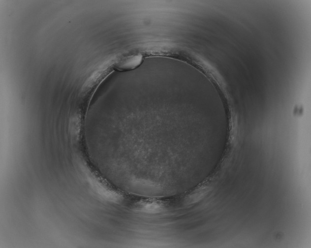 X0000111800113200907231219