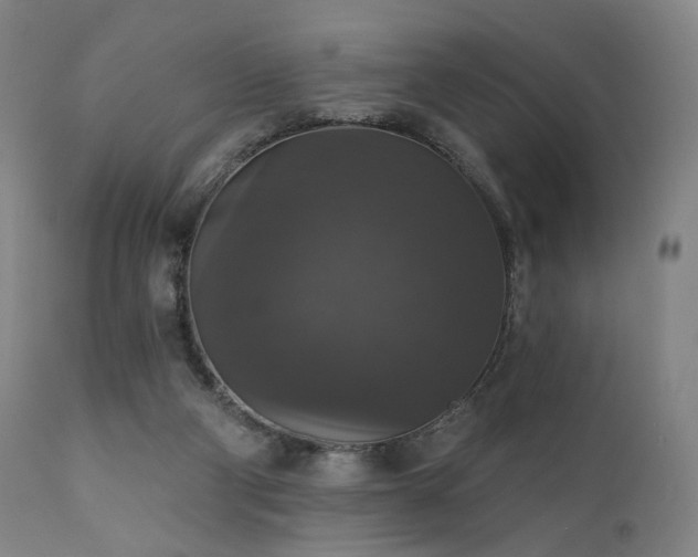 X0000111800114200907231219