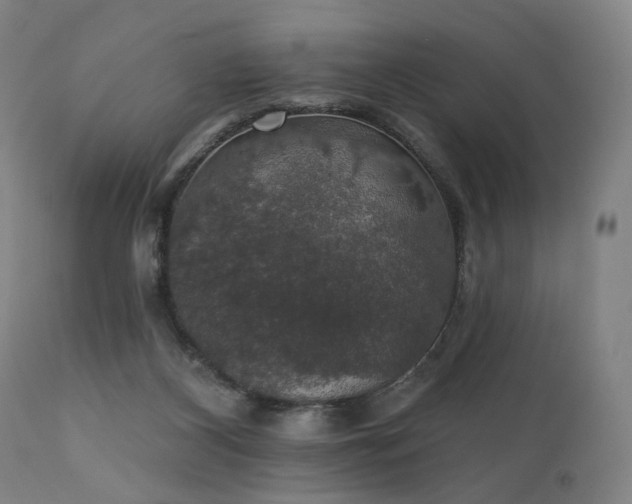 X0000111800116200907231219