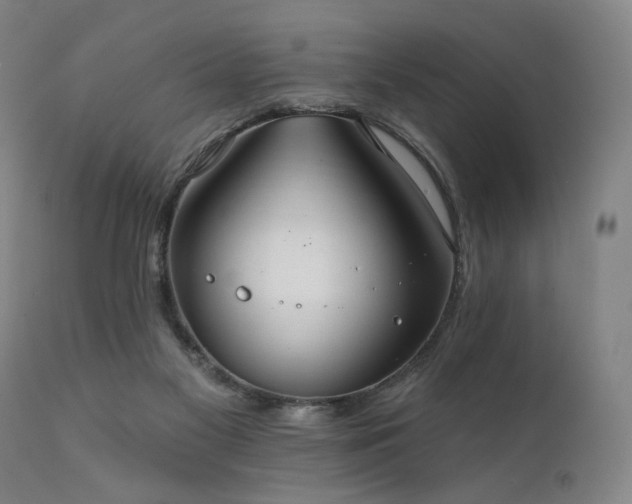 X0000111800117200907231219