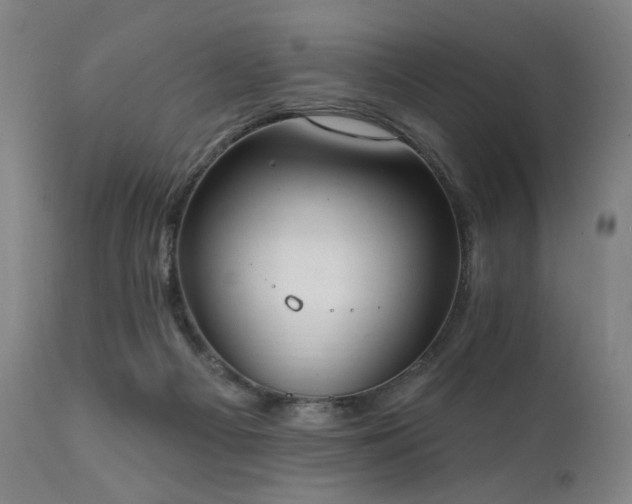 X0000111800121200907231219