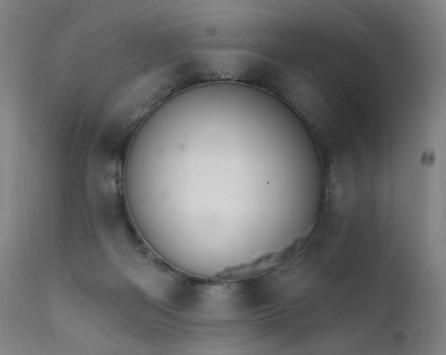 X0000111800122200907231219