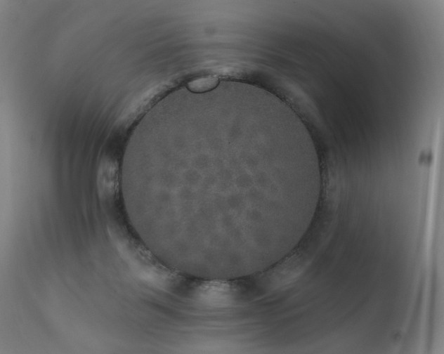 X0000111800123200907231219