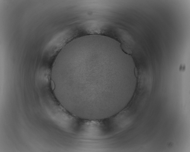 X0000111800125200907231219