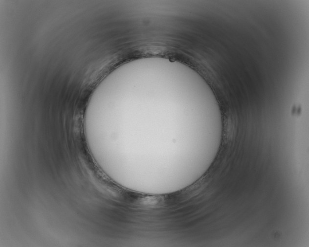X0000111800126200907231219