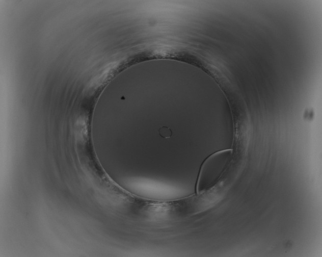 X0000111800127200907231219