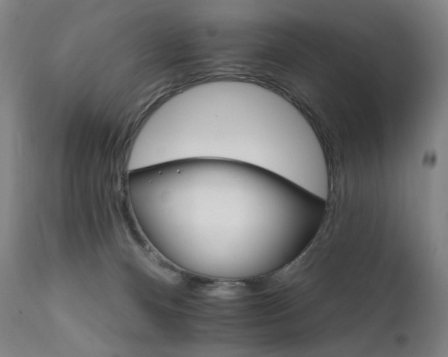 X0000111800128200907231219