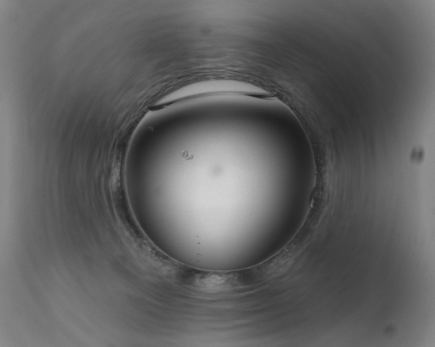 X0000111800129200907231219