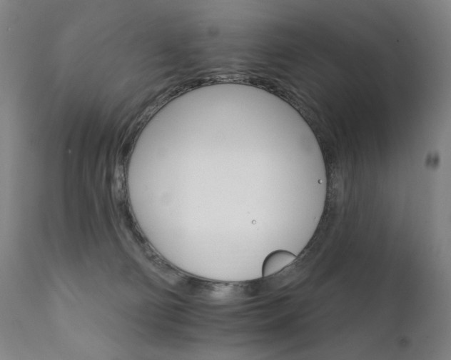 X0000111800130200907231219