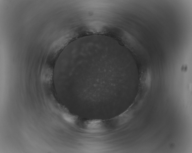 X0000111800132200907231219