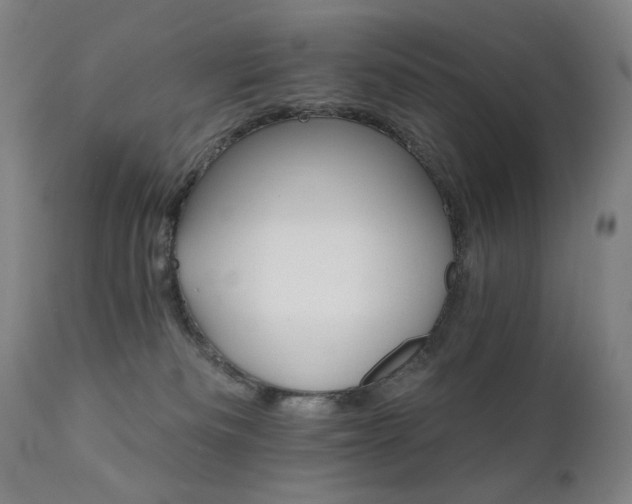 X0000111800133200907231219