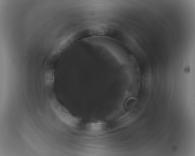 X0000111800134200907231219