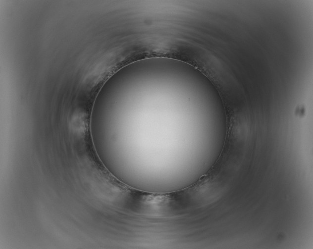 X0000111800135200907231219