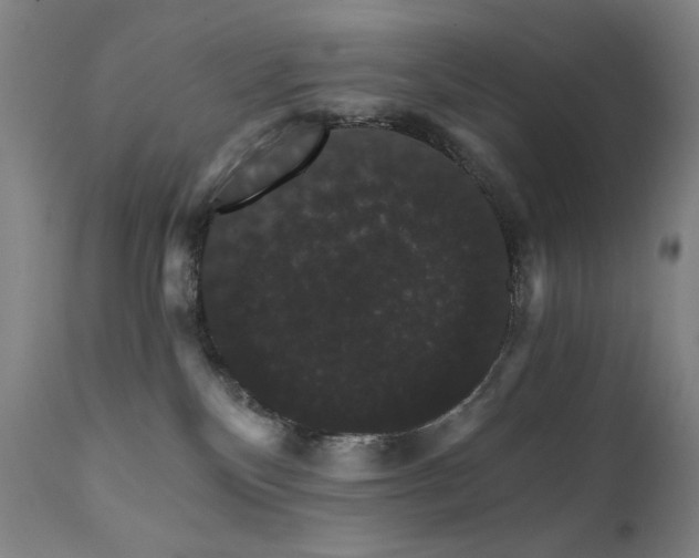 X0000111800136200907231219
