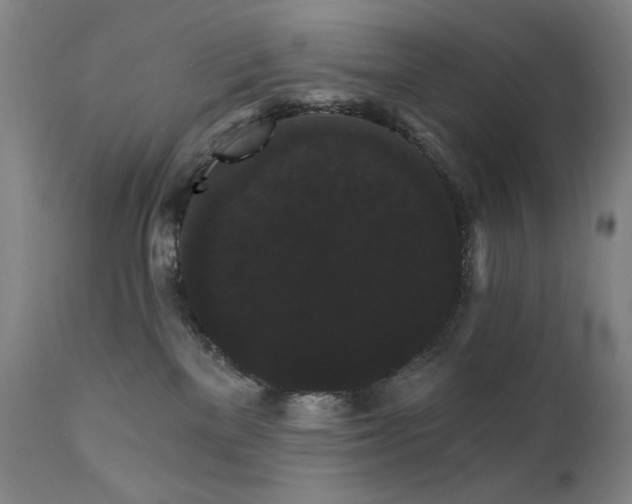 X0000111800137200907231219