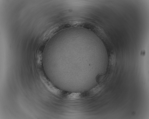 X0000111800138200907231219