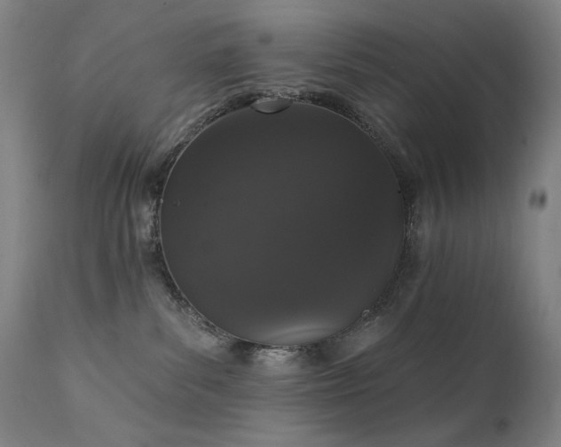X0000111800139200907231219