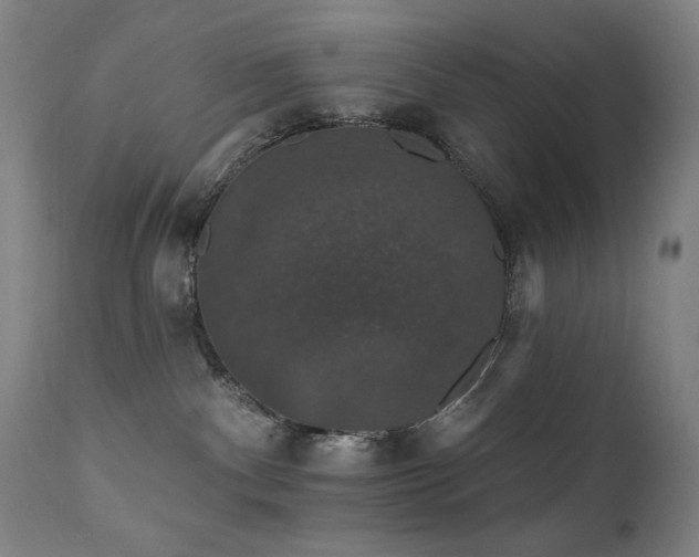 X0000111800140200907231219