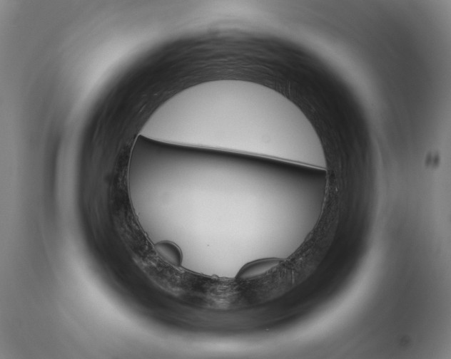 X0000111800143200907231219