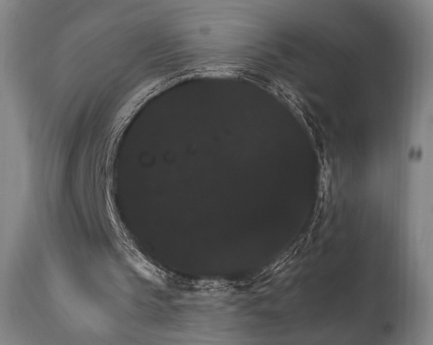 X0000111800145200907231218