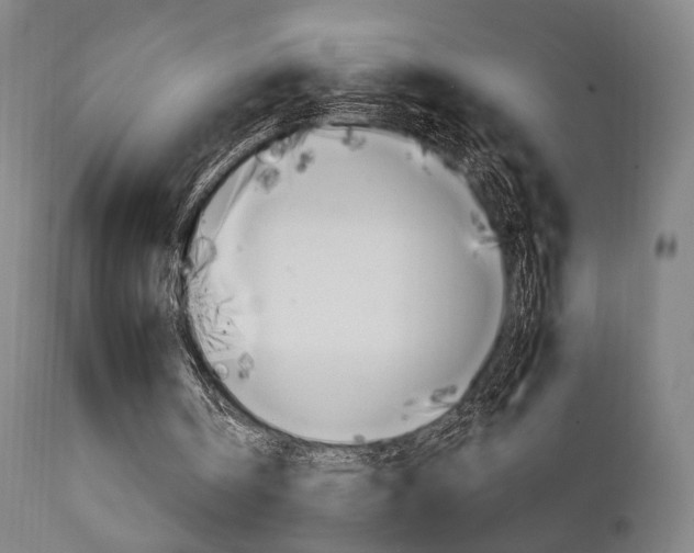 X0000111800146200907231218