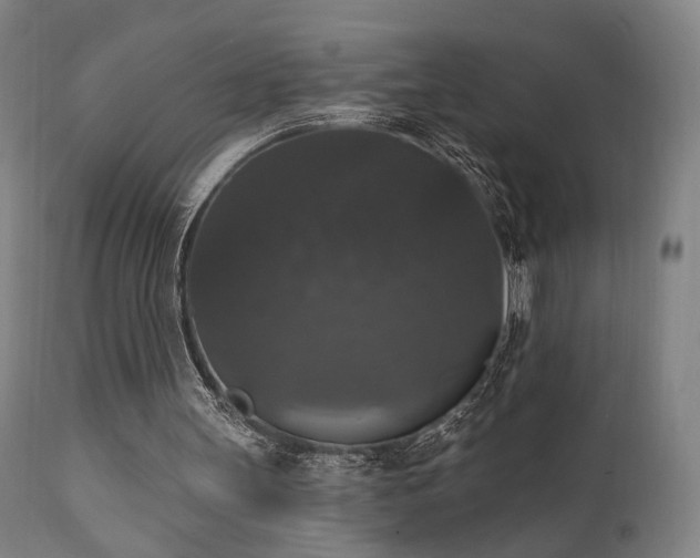 X0000111800147200907231218