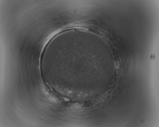 X0000111800148200907231218