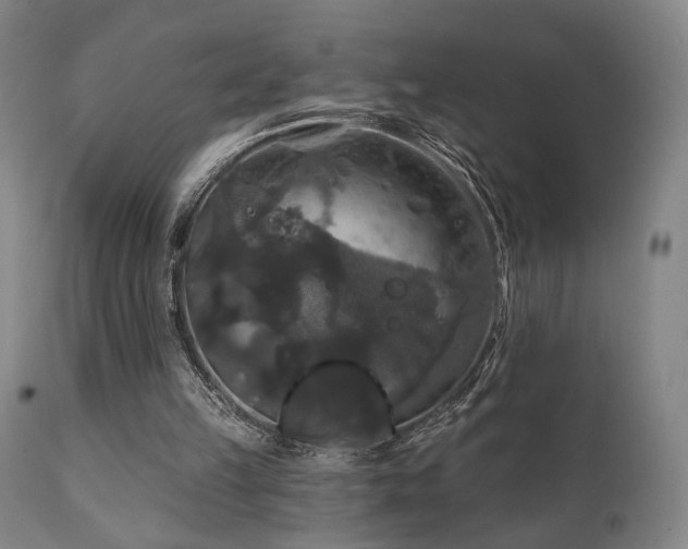 X0000111800149200907231218