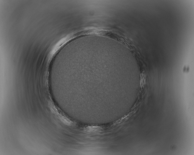 X0000111800150200907231218