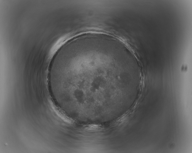 X0000111800151200907231218