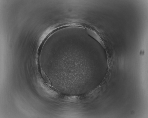 X0000111800152200907231218