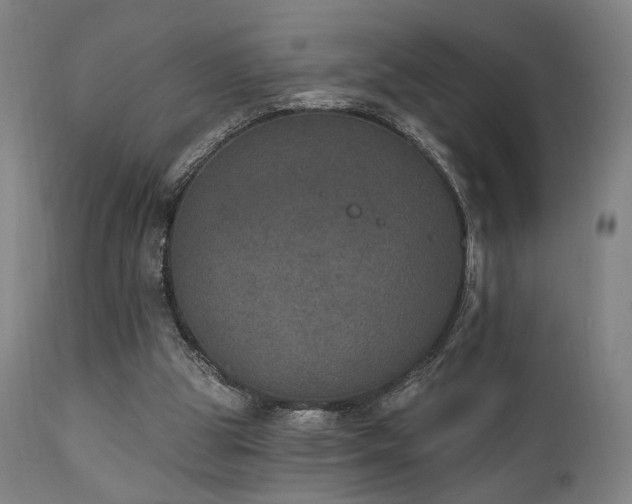 X0000111800153200907231218