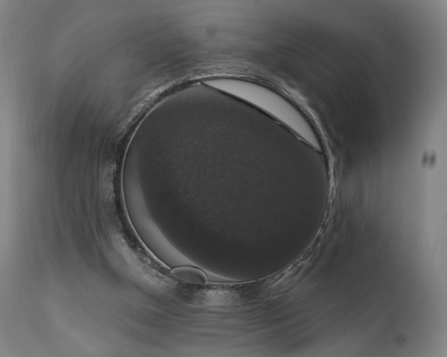 X0000111800154200907231218