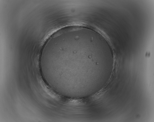 X0000111800155200907231218