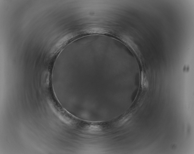 X0000111800157200907231218