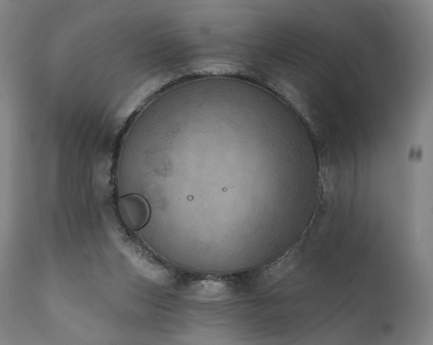 X0000111800159200907231218