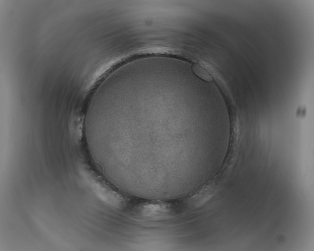 X0000111800160200907231218