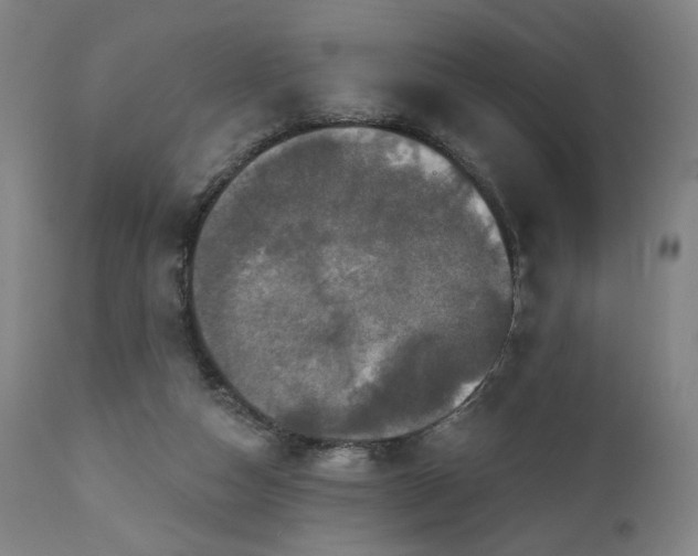 X0000111800162200907231218