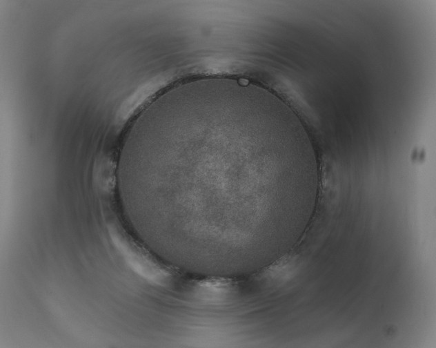 X0000111800164200907231219