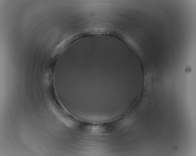 X0000111800165200907231219