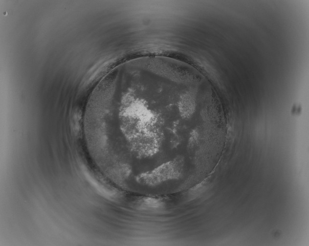 X0000111800166200907231219