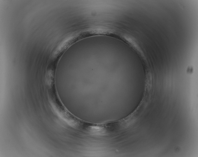 X0000111800167200907231219