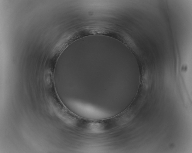 X0000111800169200907231219