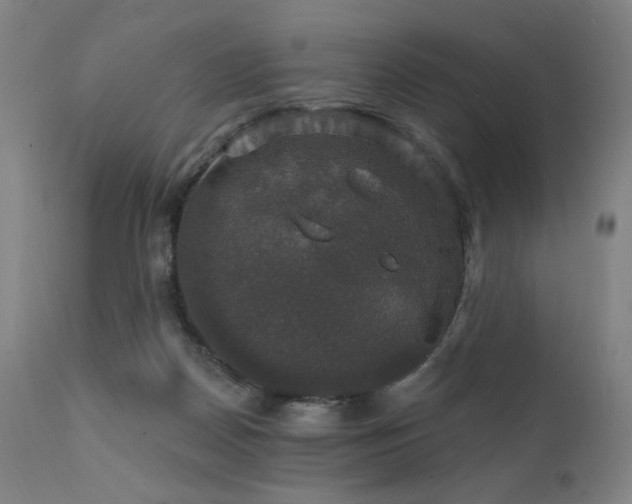X0000111800170200907231219