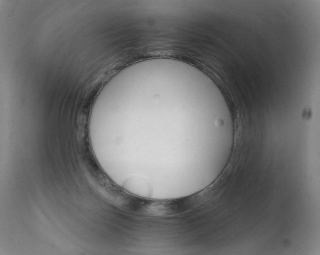 X0000111800171200907231219