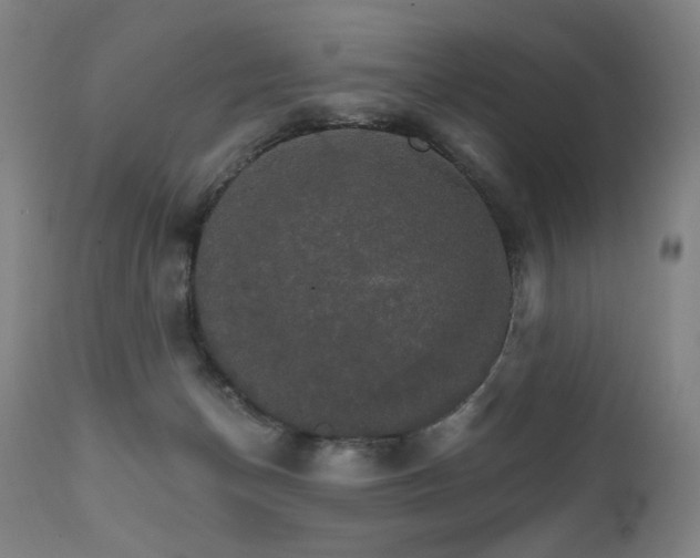 X0000111800174200907231219