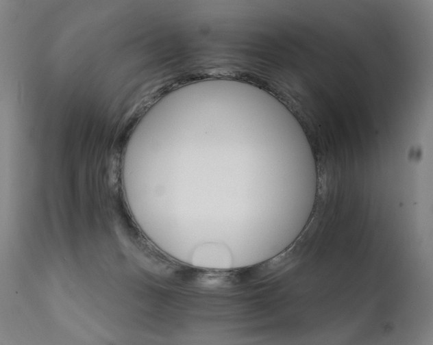 X0000111800175200907231219